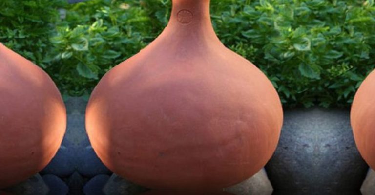 What Is The Difference Between Clay And Terracotta Pots?