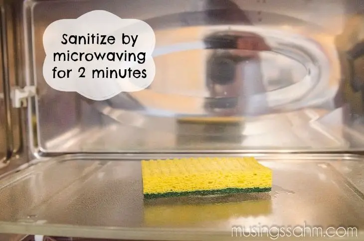 How Do You Keep Kitchen Sponges Germ Free?