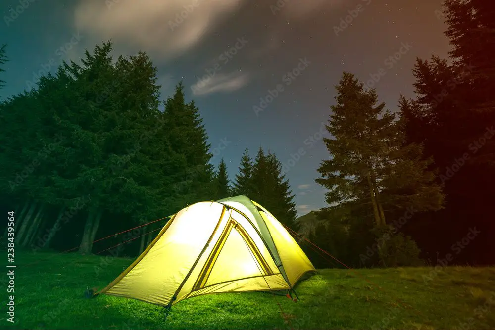 a tent in a forest clearing with trees in the background