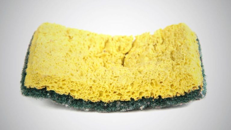 Why Are Kitchen Sponges Yellow?
