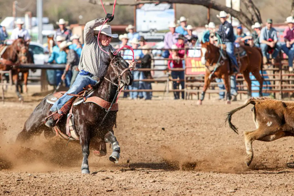 a young clay cooper competing in a rodeo event