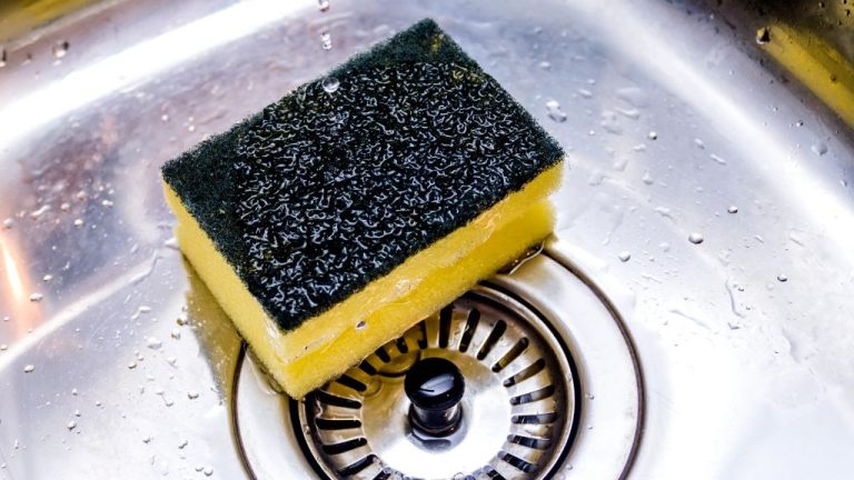 Where Should A Kitchen Sponge Be Placed?