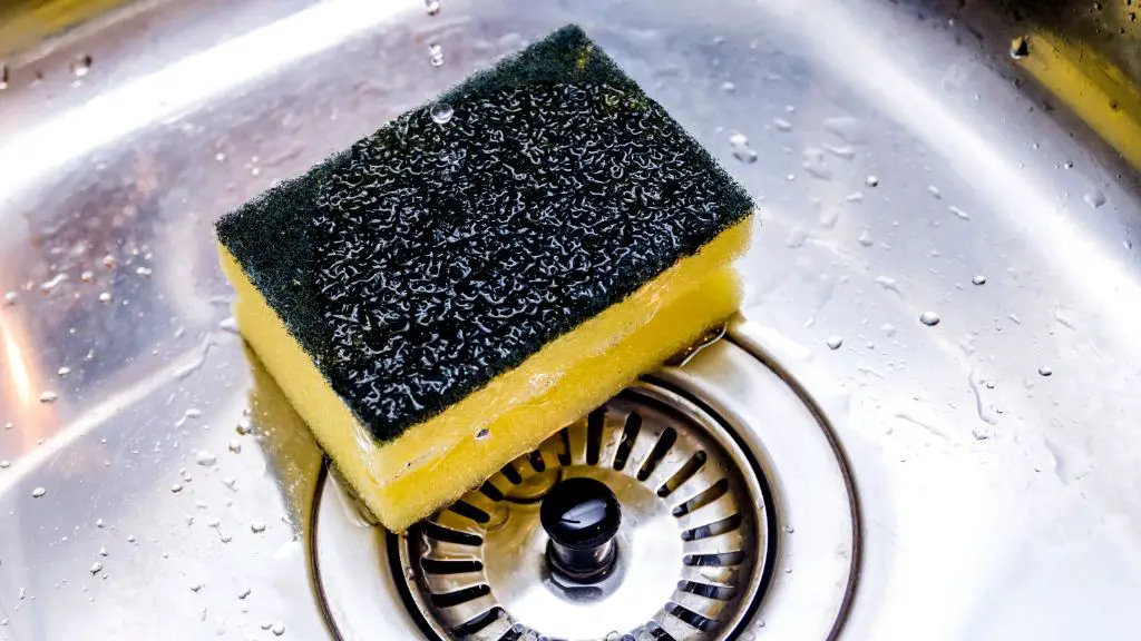 according to a 2020 study, sponges left near the sink had higher bacteria counts