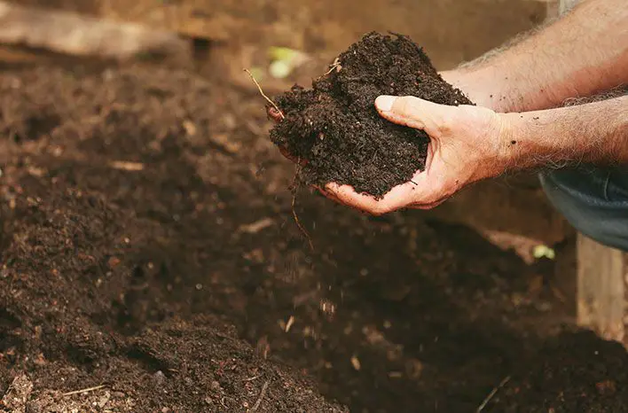How Do You Soften Hard Clay Soil?