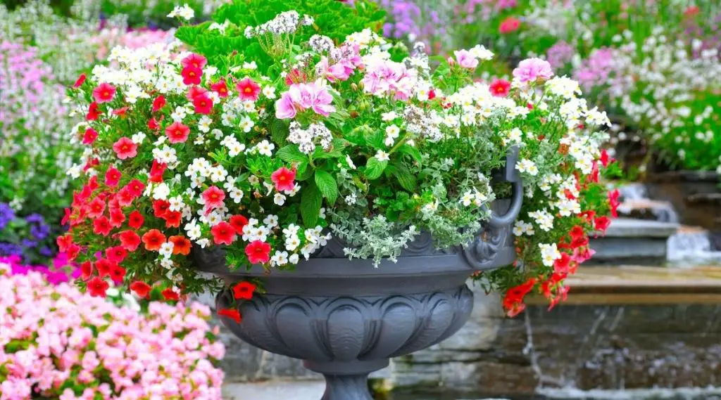 an assortment of colorful ceramic flower pots in various shapes, sizes, and decorative patterns.