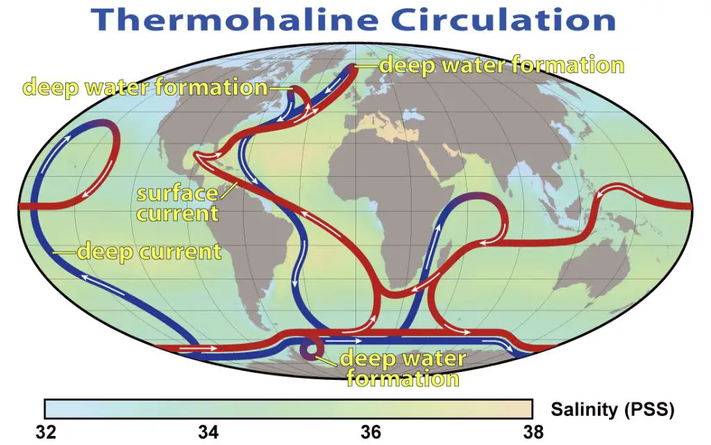 an illustration of thermohaline circulation showing currents transporting heat around the world
