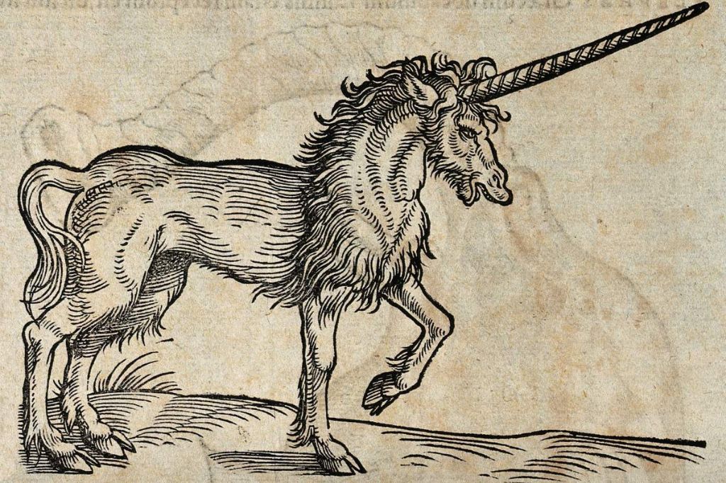 an old illustration depicting a unicorn with a long spiral horn on its forehead