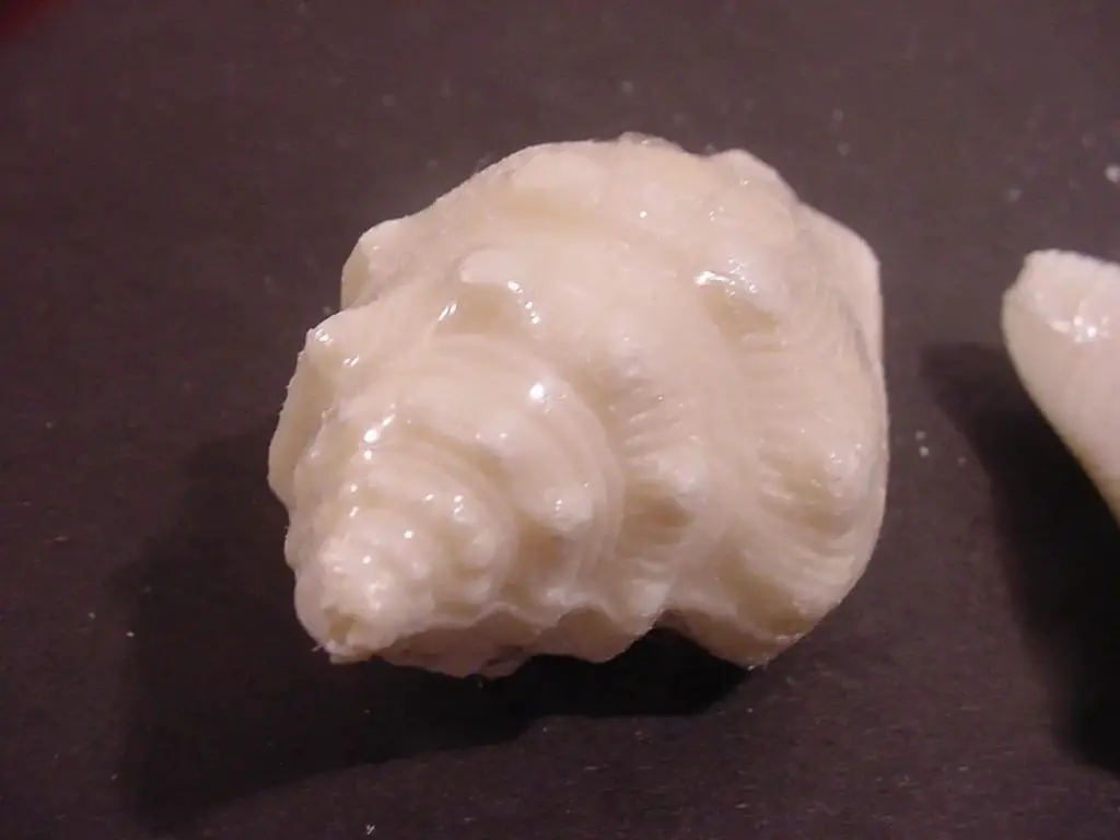 bar of soap shaped like a shell