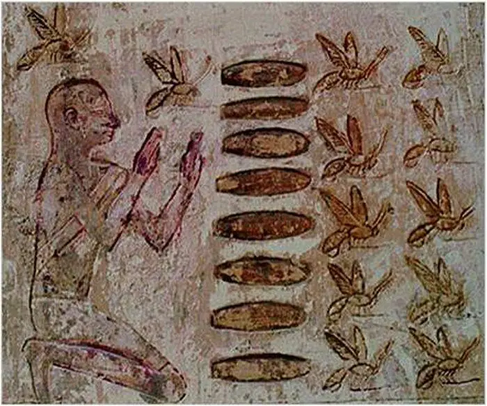 bees represent the soul's journey after death in ancient egypt
