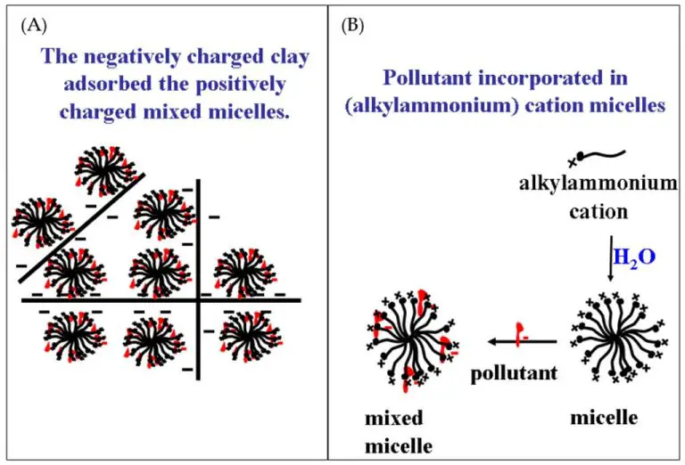 What Is The Difference Between Montmorillonite Clay And Bentonite Clay?