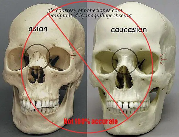 What Are The Different Colors Of Skulls?