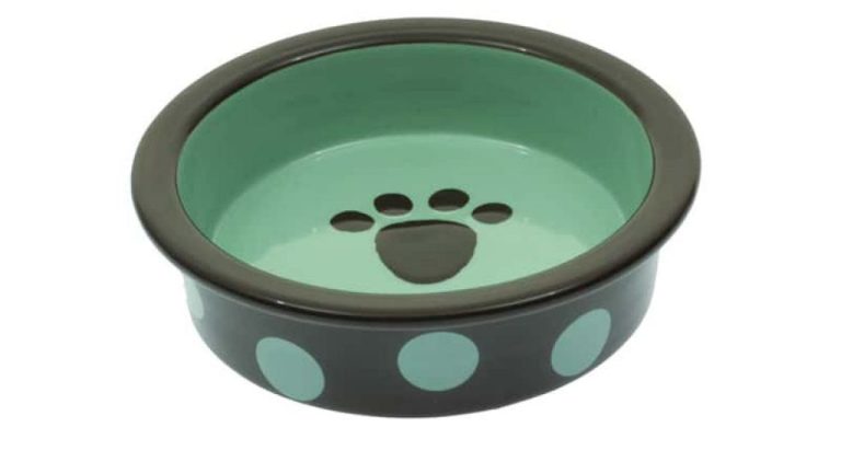 What Size Bowl Does A Large Dog Need?