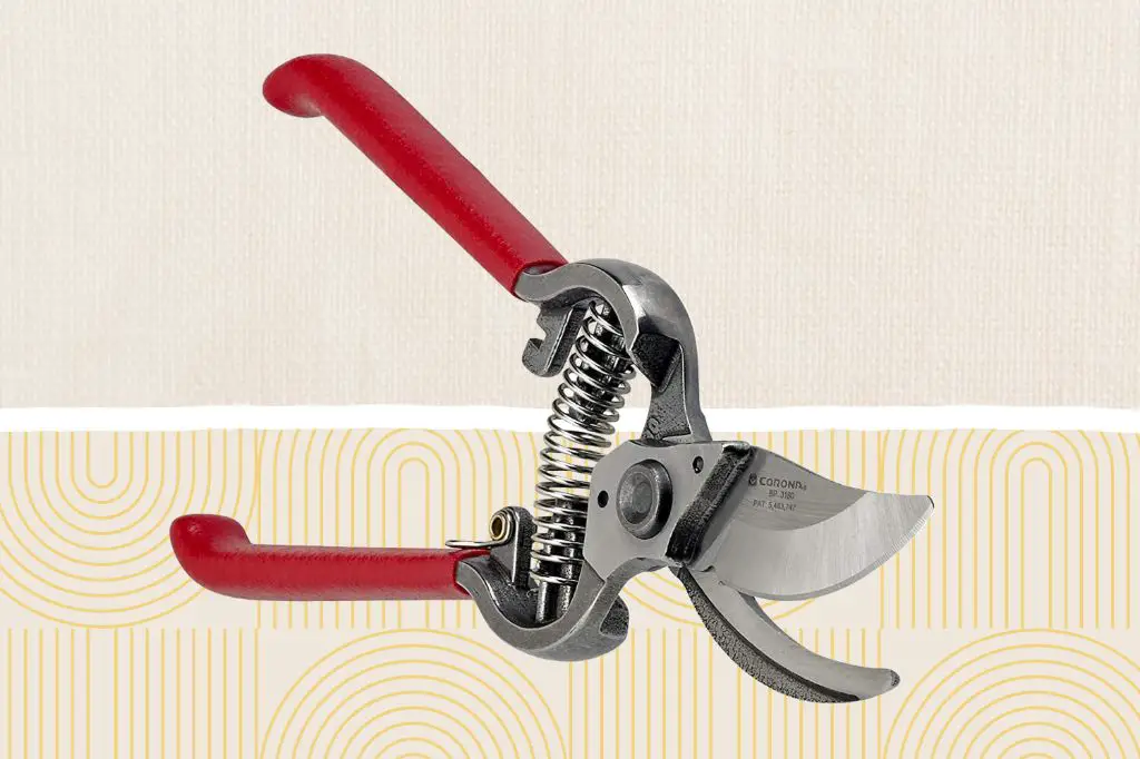 bypass pruner blades provide a clean scissor-like cut.