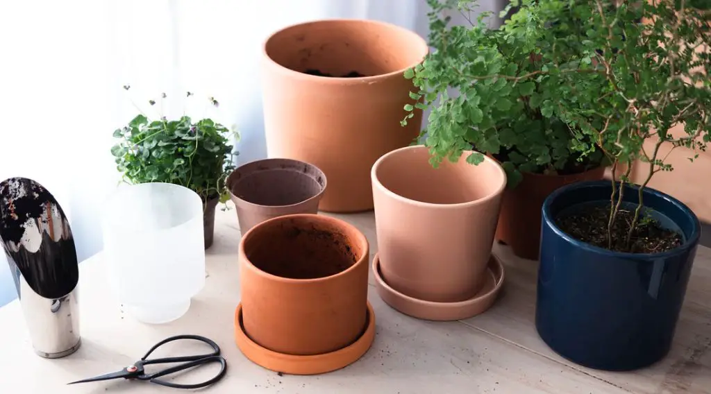 clay, plastic, ceramic, and metal pots arranged side by side.