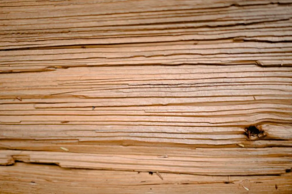 close up photo showing the smooth grain patterns of various wood types used for making combs.