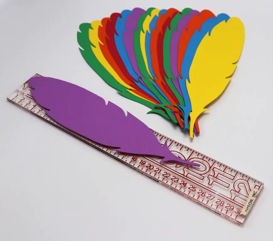 colorful construction paper feathers cut into various shapes and sizes