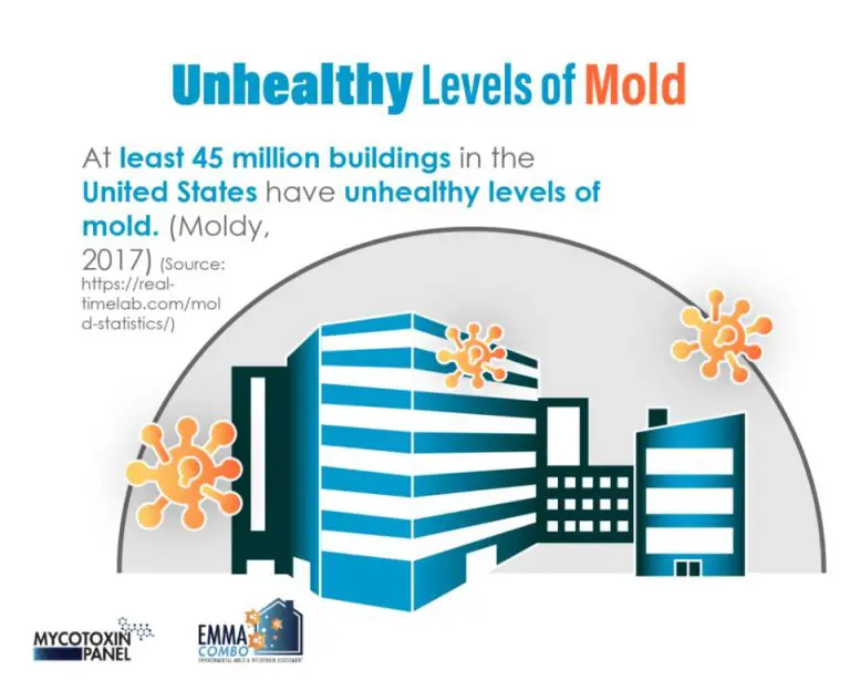 Is It Clay Mold Or Mould?