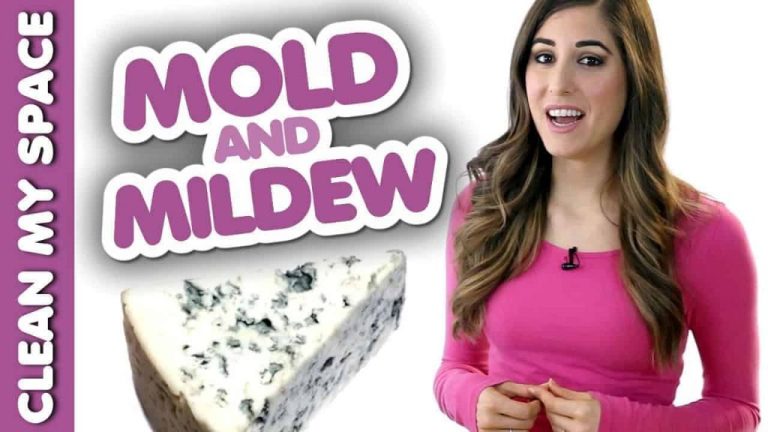 How Long Does Soap Stay In Mold?