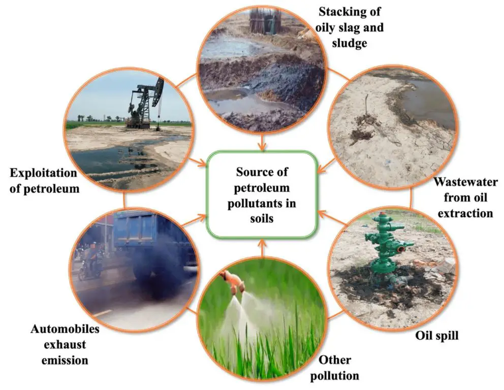 independent study showed champion eco clays fully biodegraded within 2 years