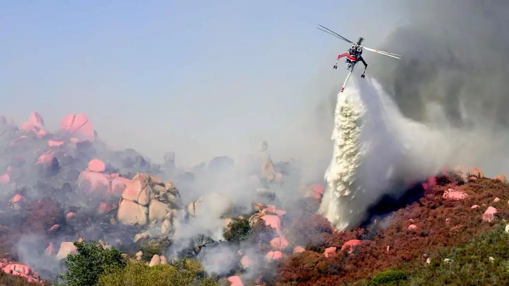 investigators determined the coyote fire was caused by an act of arson when an individual intentionally ignited roadside brush.