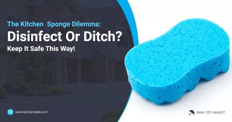 Where Do You Keep A Dish Sponge?