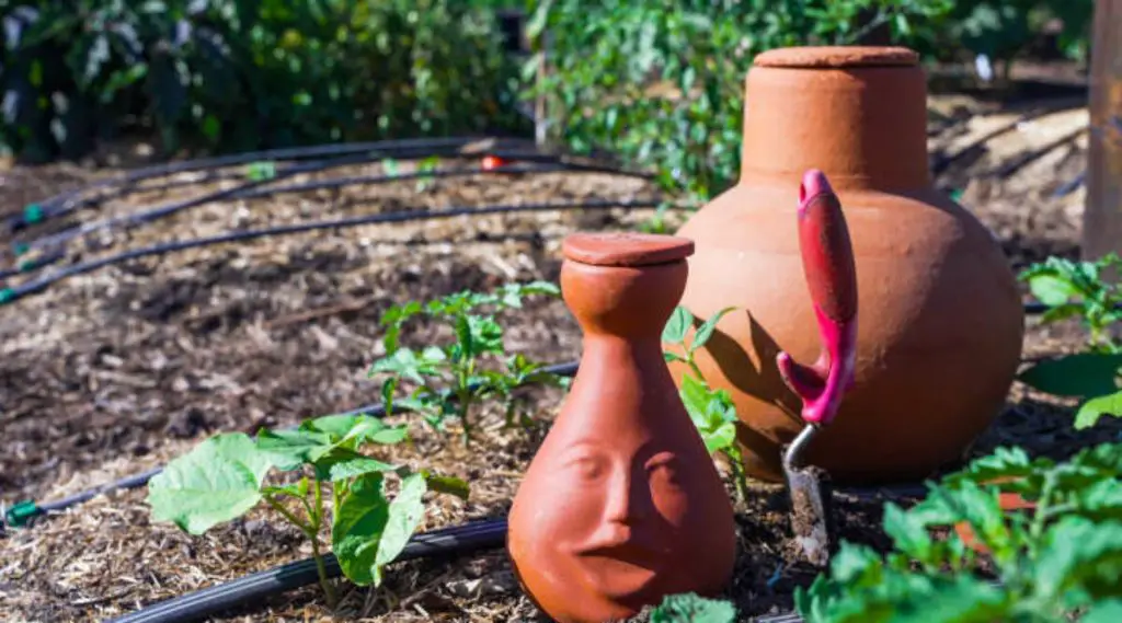 maintaining clay pots requires checking soil moisture and resealing