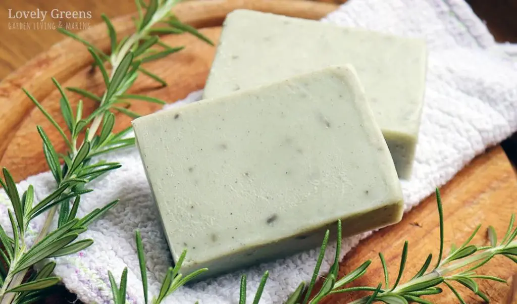 natural preservatives like rosemary extract help inhibit mold growth in handmade soap recipes.