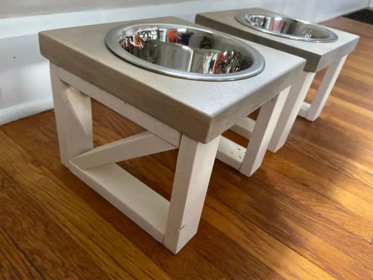 What Is The Best Height Bowl For A Dog?