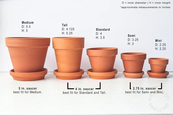 Are Clay Pots Good Or Bad For You?
