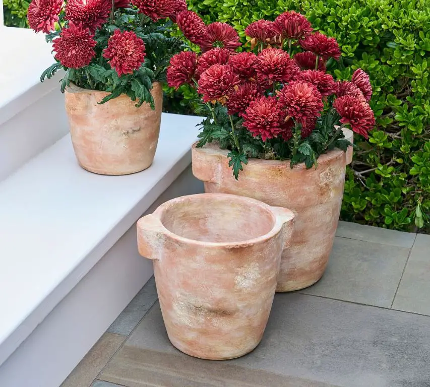 terracotta flower pots