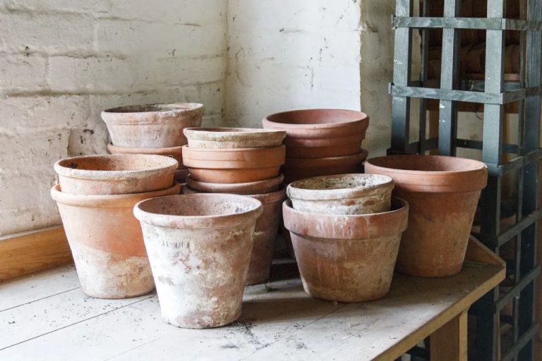 What Is The Downside Of Terracotta Pots?