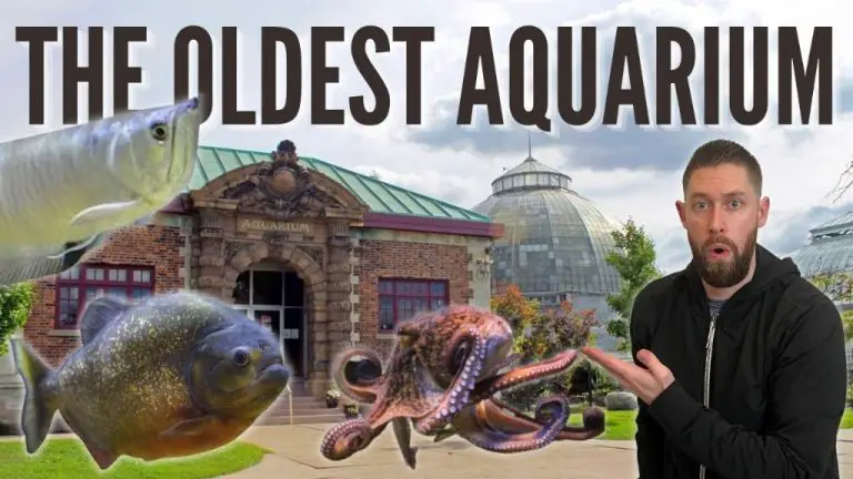 How Much Does It Cost To Get Into The Belle Isle Aquarium?