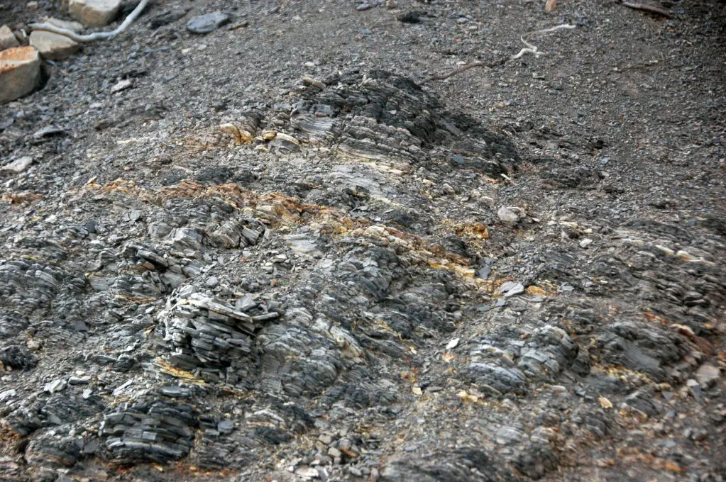 weathered volcanic ash layers that formed bentonite deposits