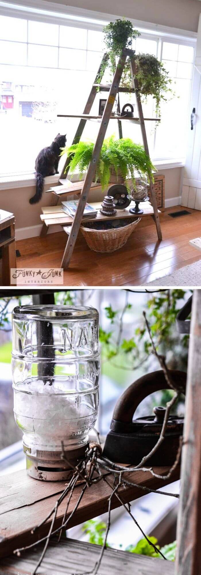 Repurposed Ladder Plant Stand