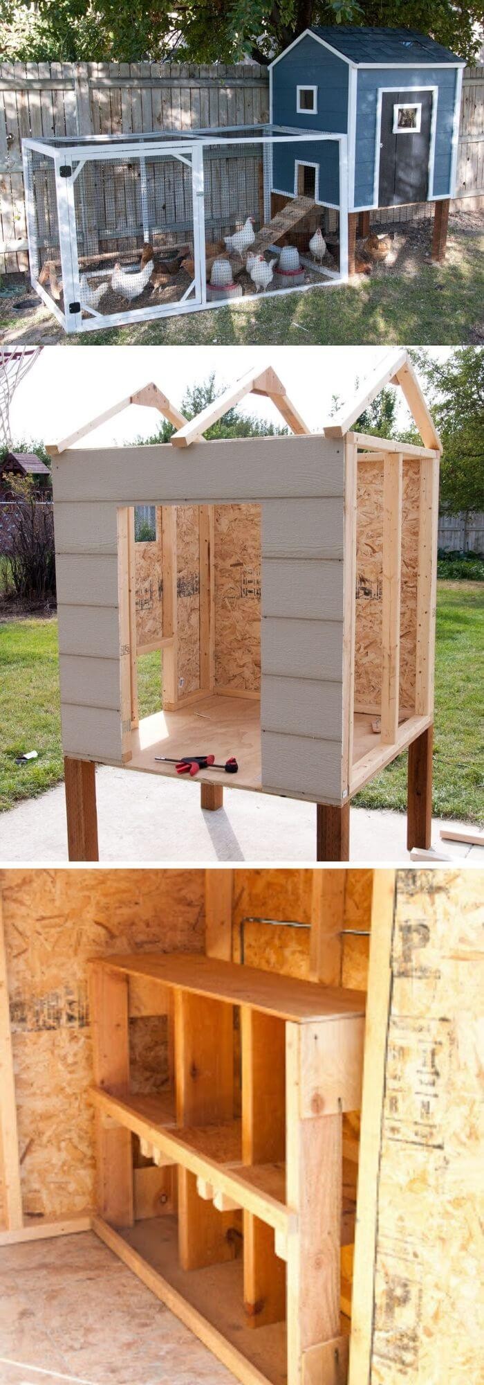 Penthouse style chicken coop