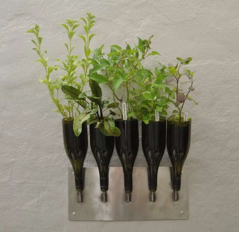 Wine Bottle Vertical Garden