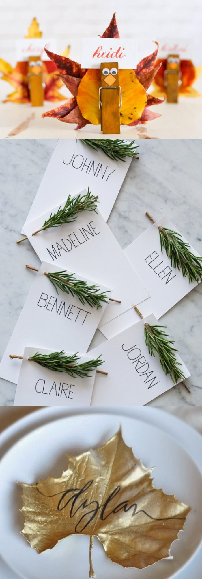 Rosemary Sprigs