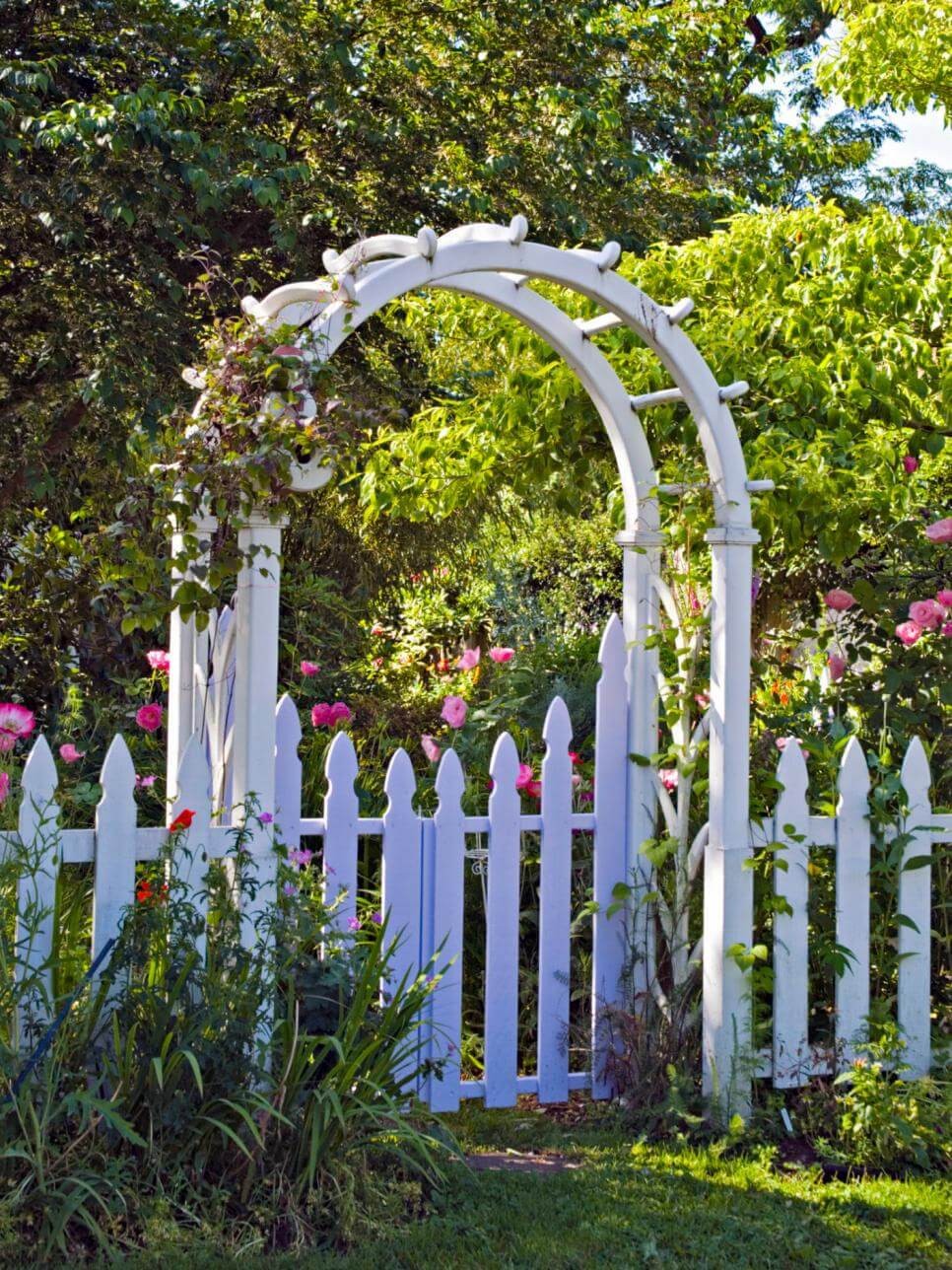 Container Gardening