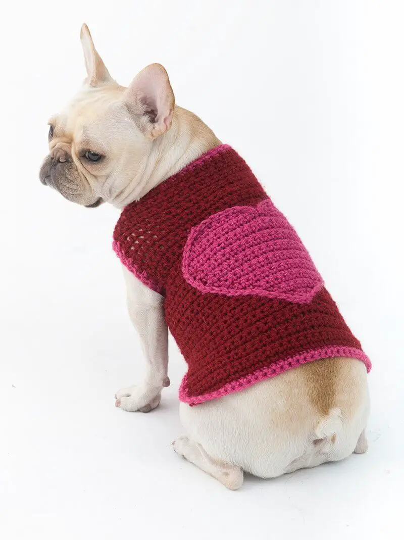 The romantic dog sweater