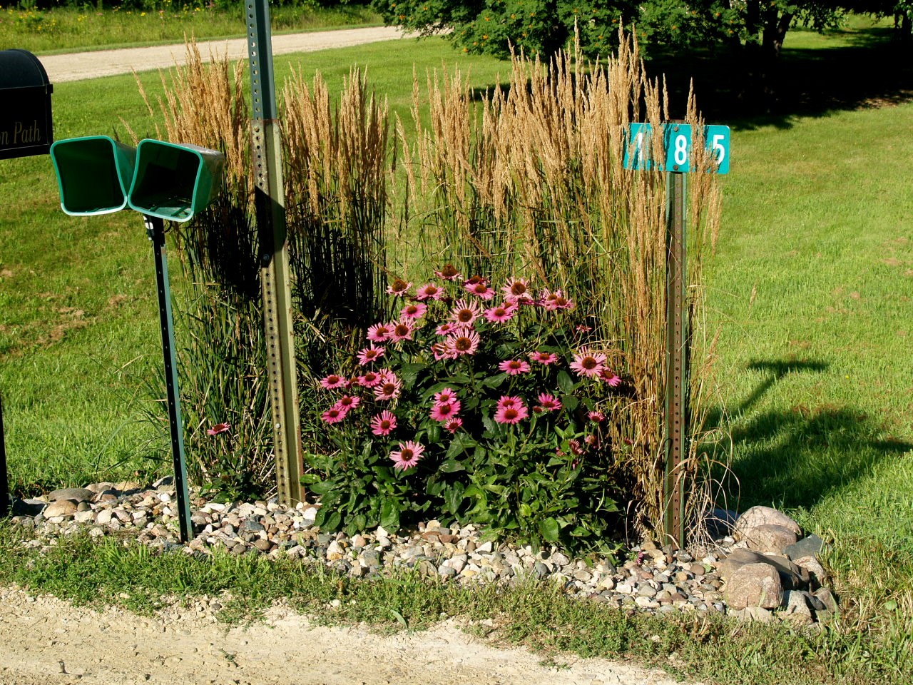 Combination of Grass and Beautiful Flowers