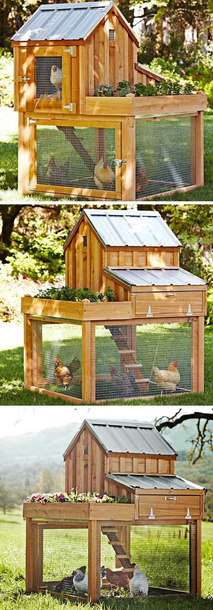 Simple chicken coop