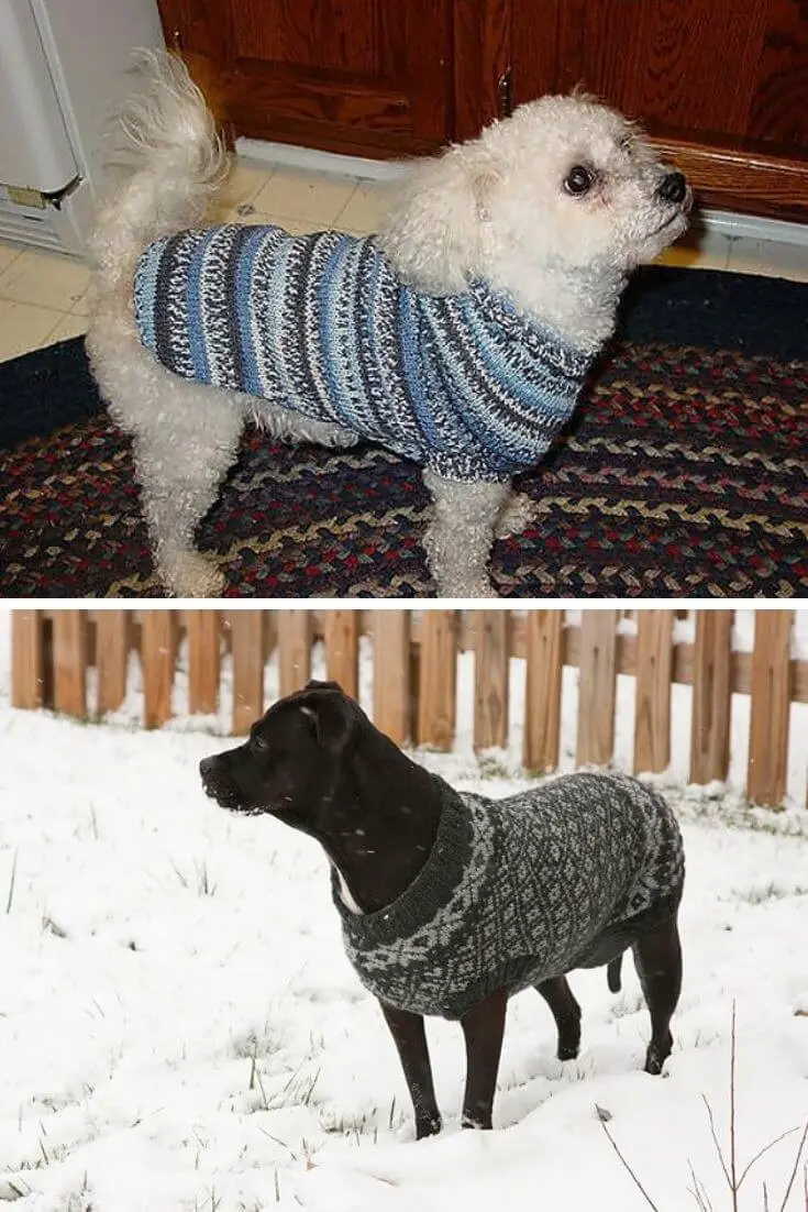 Custom-fit dog sweater