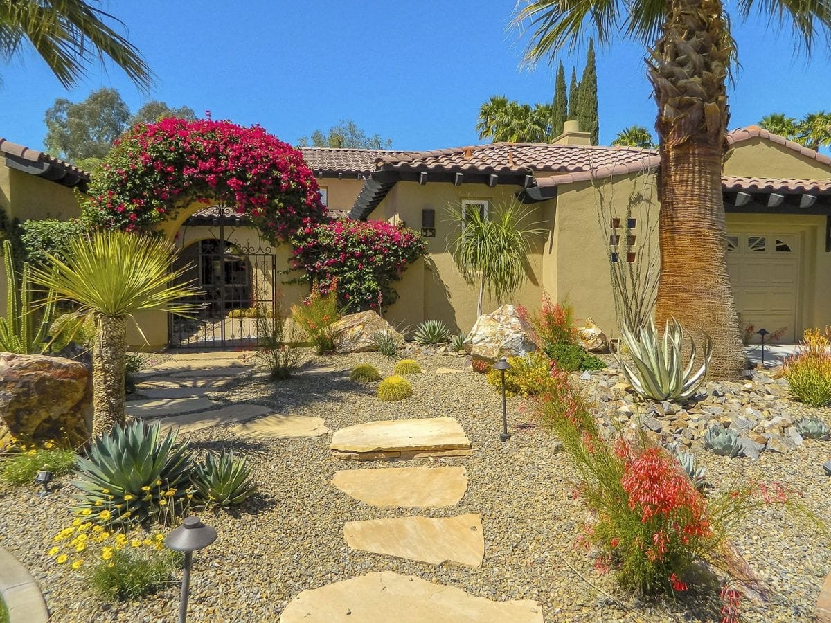 Palms and cobblestones