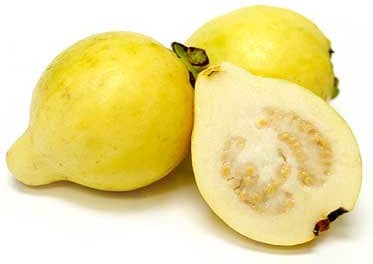 Mexican Cream Guava.