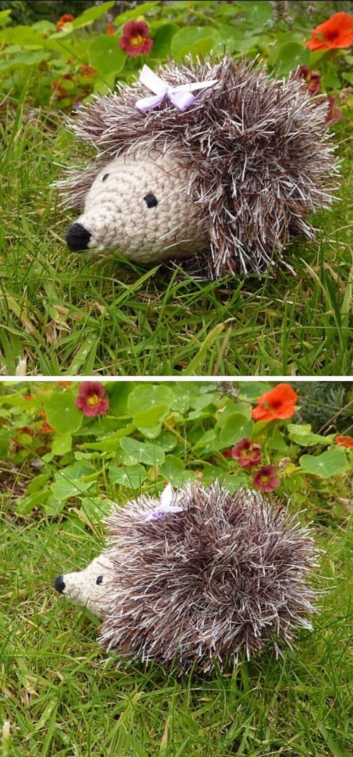 Heidi hedgehog