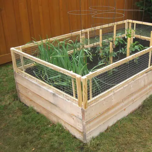 Waist high raised garden bed with detachable side fences