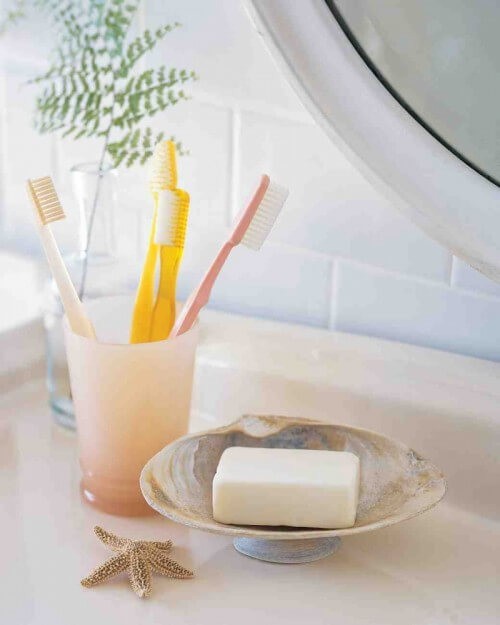 Clean Up With A Shell Soap Dish