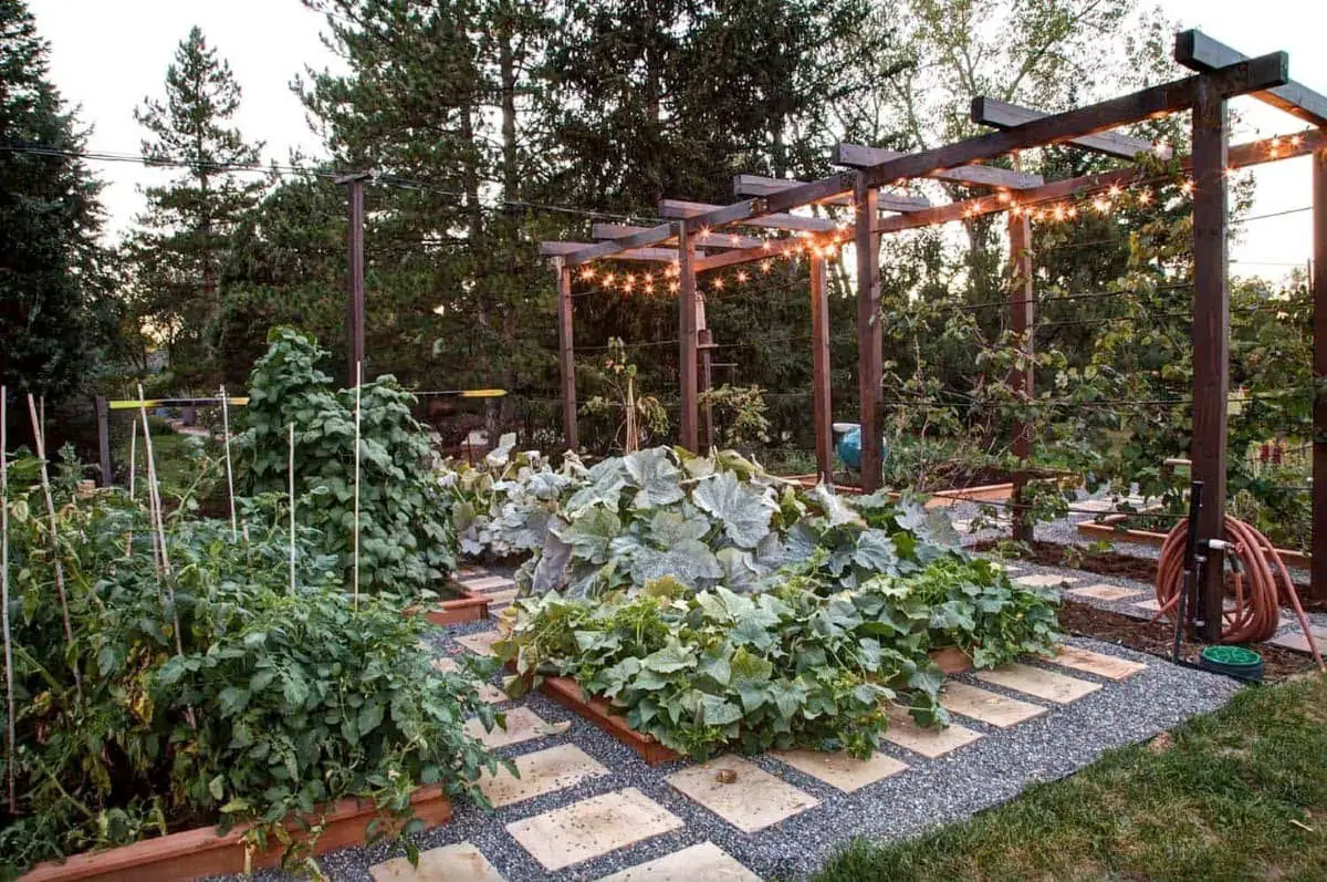 Gardening with Vegetables