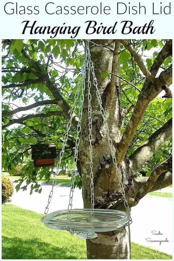 D. Heated Bird Baths for Winter