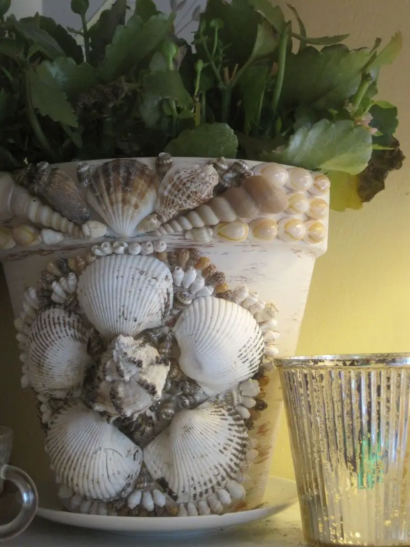 Using Shells on Plastic Flower Pots